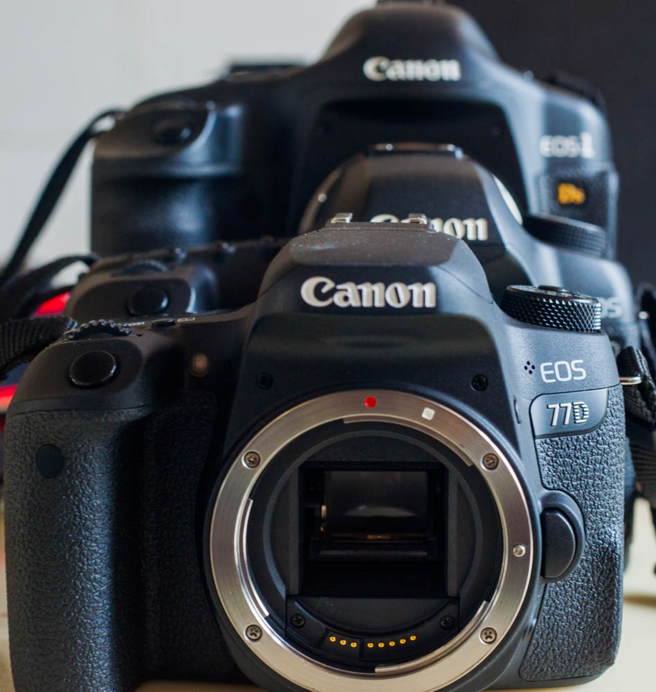 佳能eos77d单反相机机身,佳能eos77d对比苹果手机