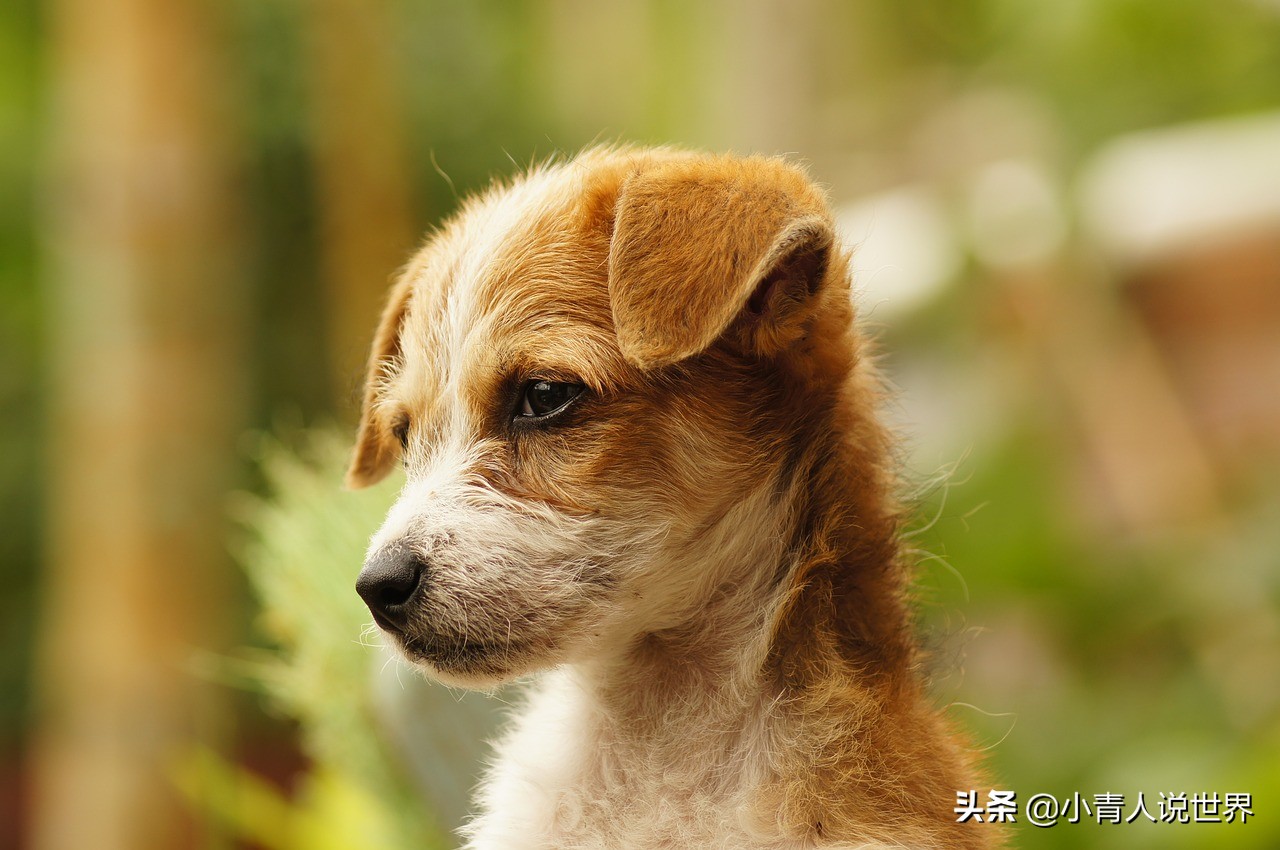 芬兰真实图片,真实的芬兰农村