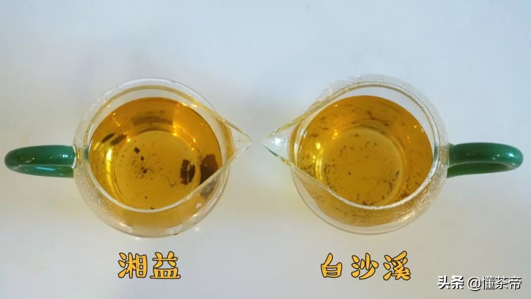 黑茶评测,哪个黑茶口感好香甜又好喝