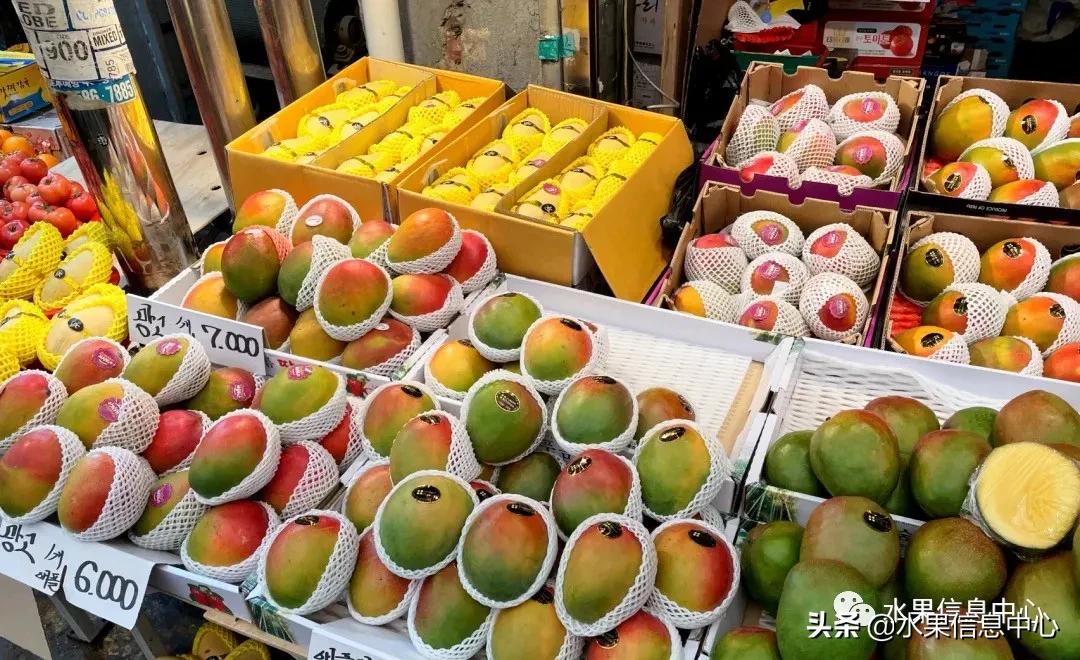韩国水果批发市场进货渠道,韩国首尔最大的水果批发市场