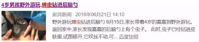 防虫保鲜,防虫保命小妙招