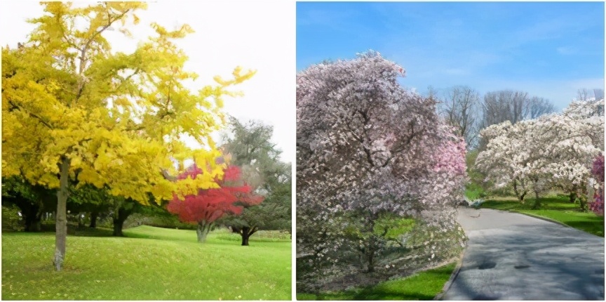 佛山市医院设计团队,山东医院设计效果