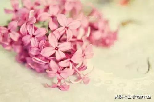 适合个性签名的简短句子,适合做个性签名的句子独特有风格