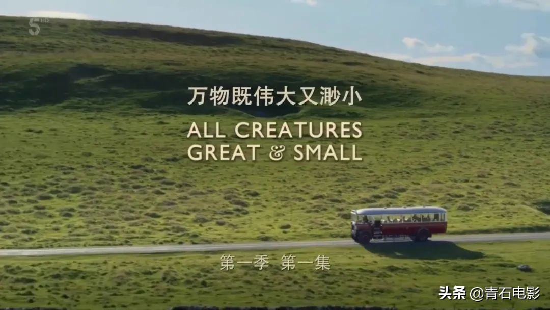 英剧丹斯第一季在线观看,英剧丹斯真实事件