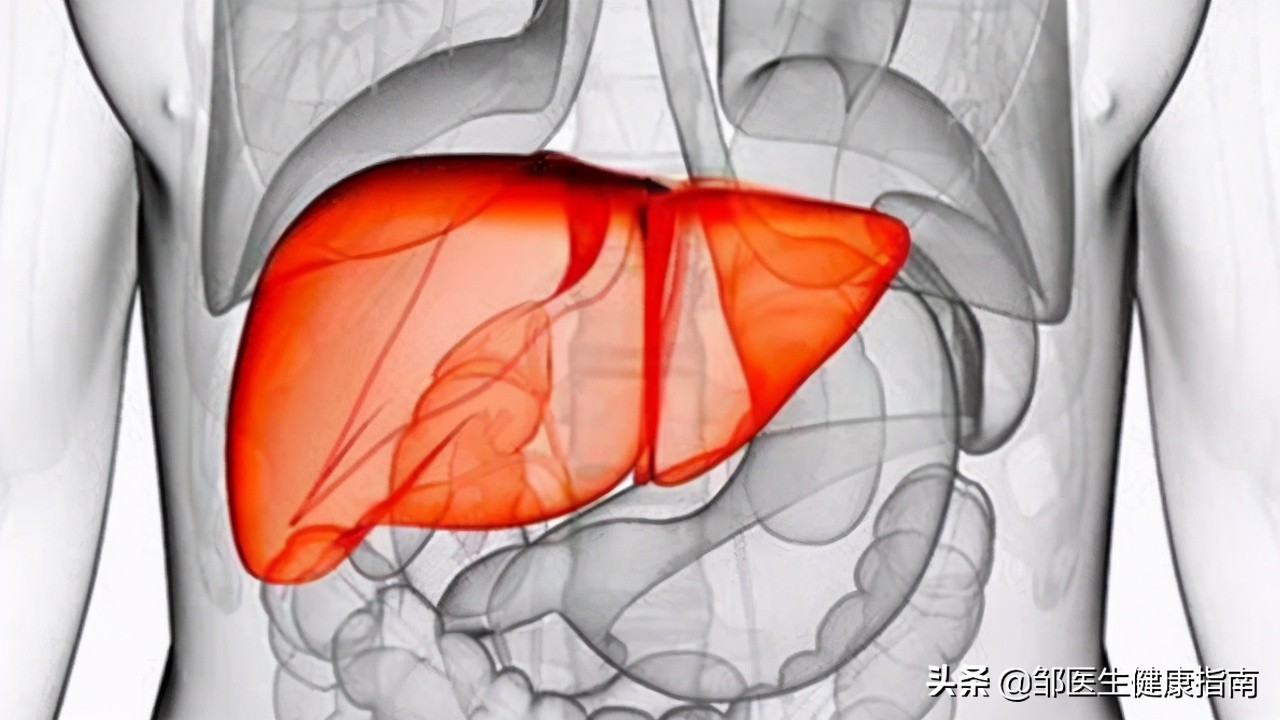 乙肝携带者放屁多是严重的表现吗,乙肝患者总放屁