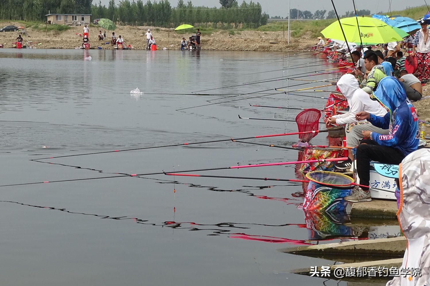 垂钓园如何经营和盈利的,开一个2亩垂钓园一般投资多少钱