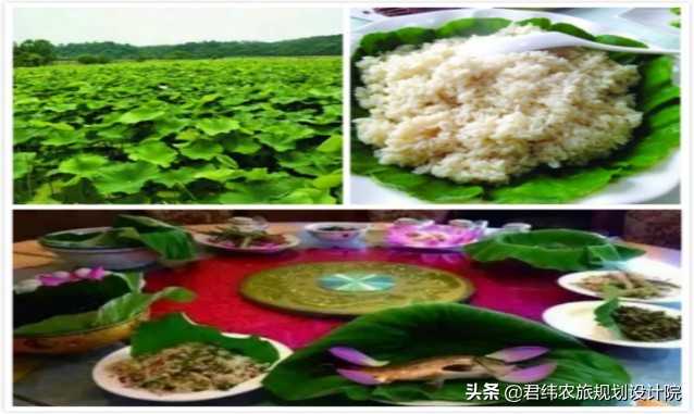 德安老山湾生态庄园一日游,江西山谷春果桑园生态旅游山庄