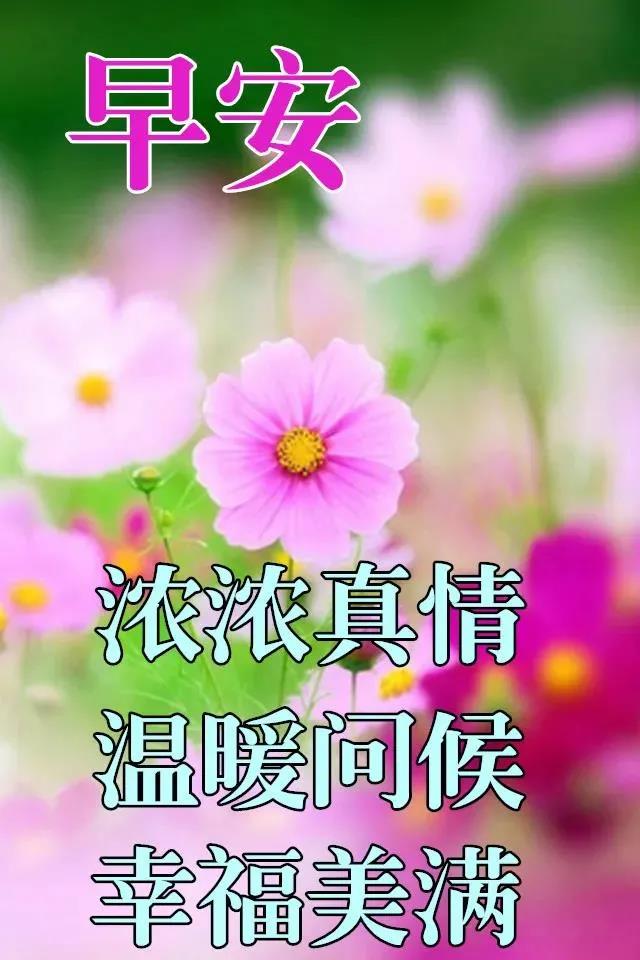 周一早上好祝福问候语最新版多图,周一早上好最新图片问候语