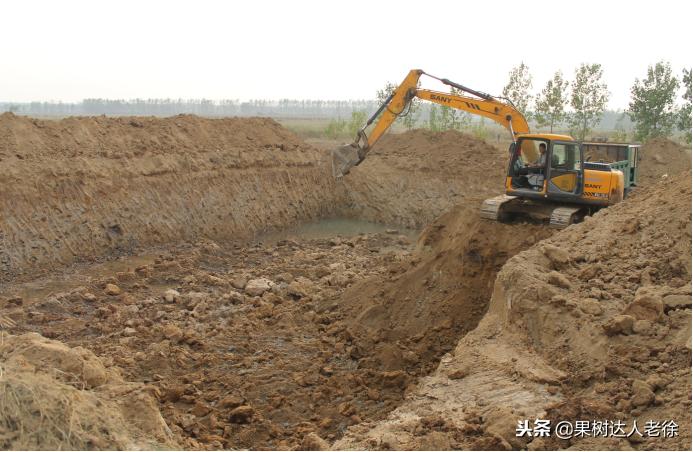 种植桃树的间距是很有讲究的,科学合理的种植模式