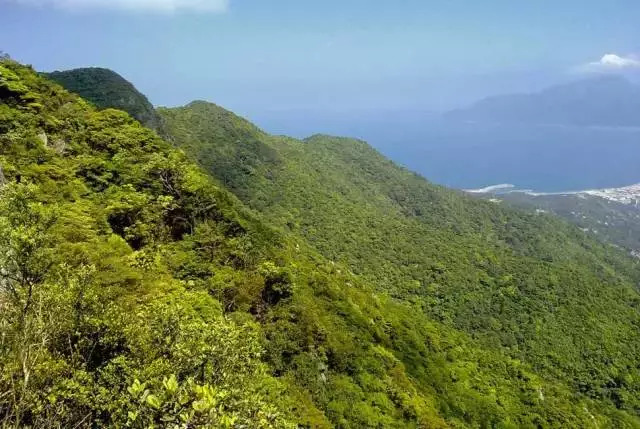 深圳海洋世界旅游攻略,深圳海洋王国有哪些景点