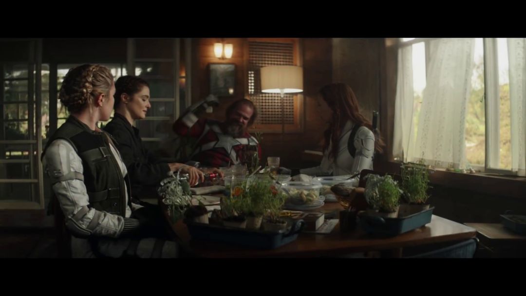 黑寡妇十大秘密解析,黑寡妇预告片