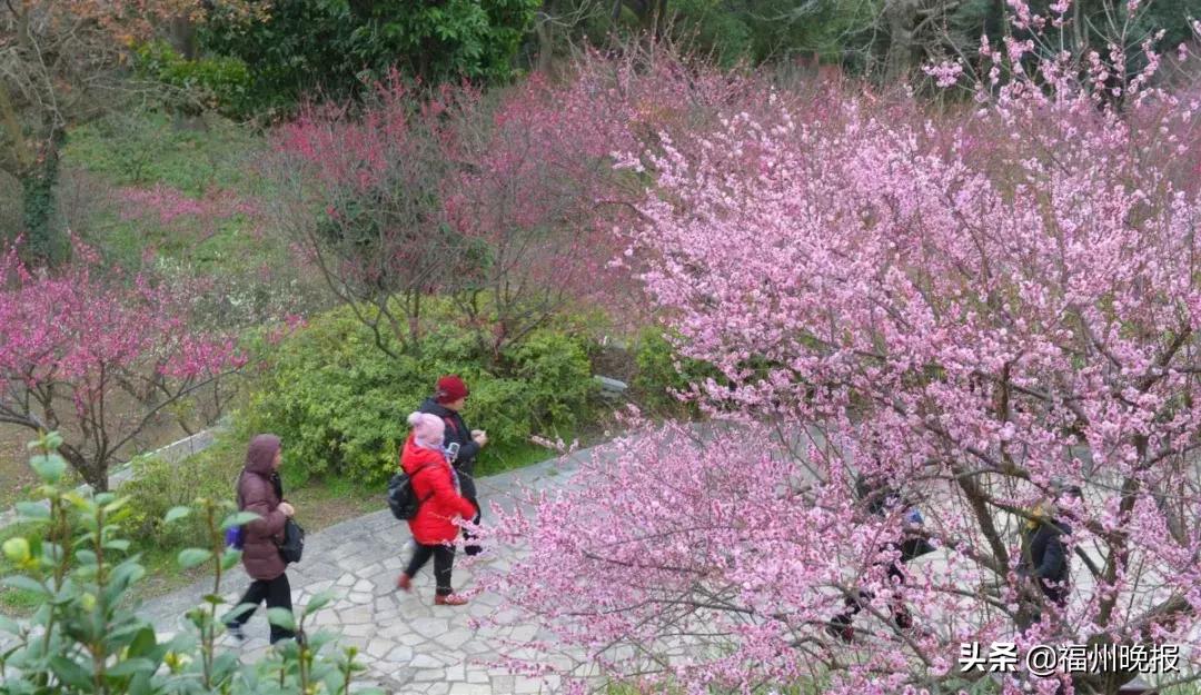 福州东街口去景点方便吗,东街口福州游玩