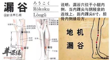 百病消除的穴位图解,除百病的穴位