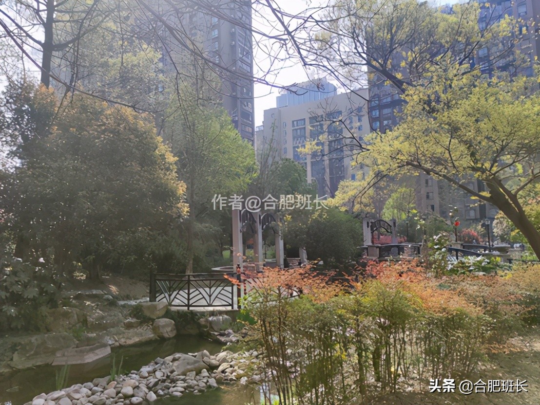 合肥水景房推荐,合肥绿地海顿公馆是住宅吗