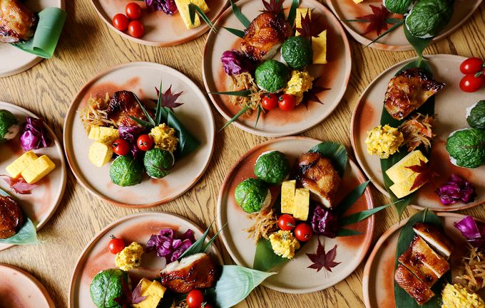 日本陶器底款有哪些 (日本龙谷窑陶器)