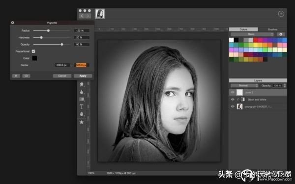 绘画照片排版软件,照片编辑软件排行榜前十名