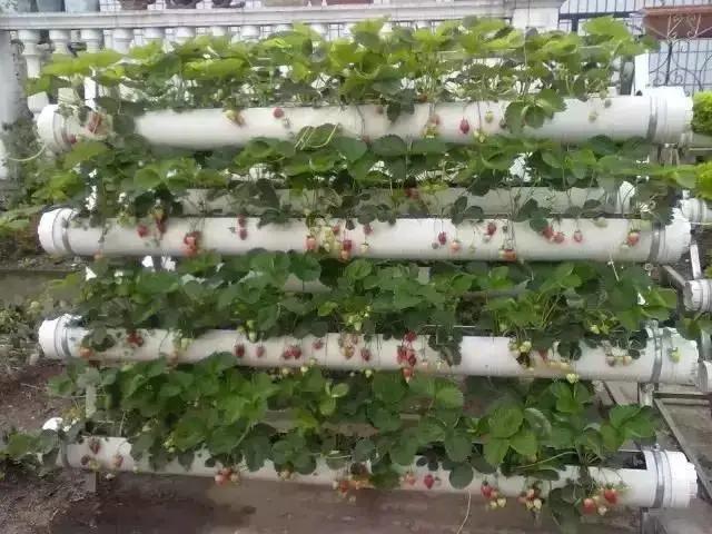 废弃pvc管改造,旧pvc管改造大全集