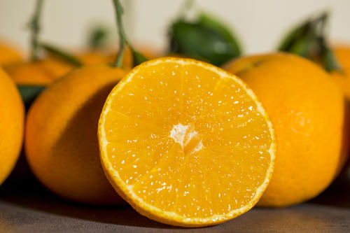 在网上哪里买水果比较靠谱,网上在哪买水果比较靠谱