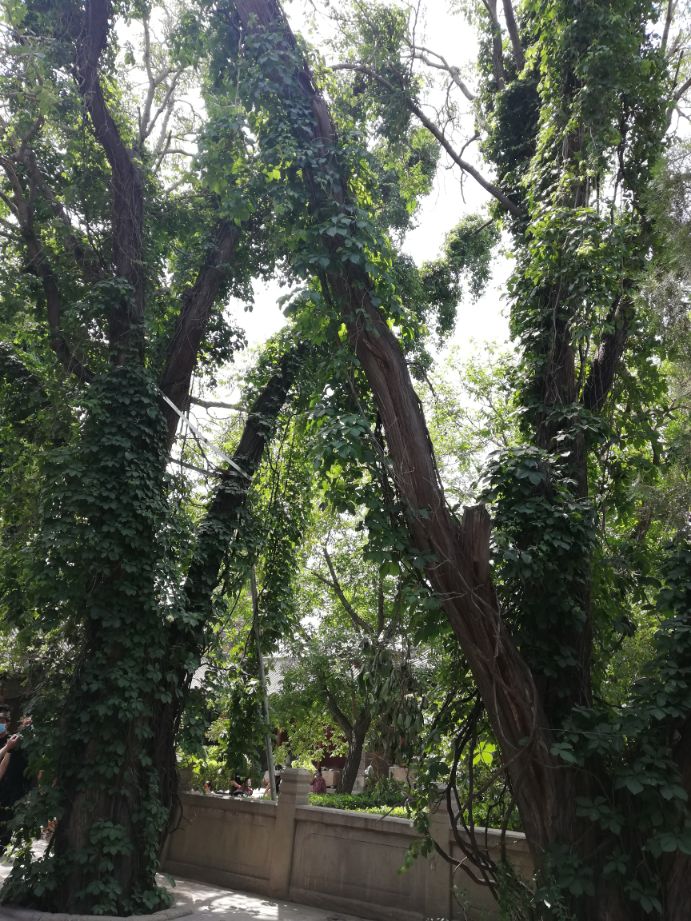 一城看山西一街五千年什么意思,一城看山西门票预约