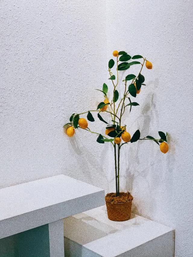 佛山南海美式咖啡推荐,十大良心纯咖啡推荐