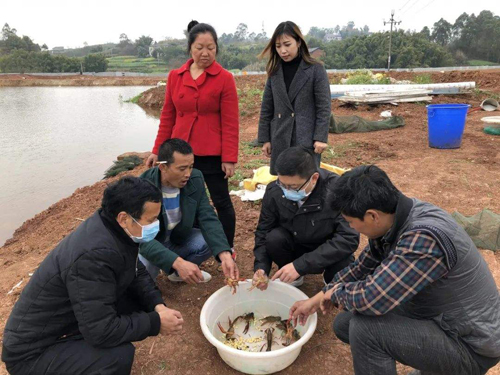 农民工找不到工作,农民工找不到工作怎么办呢