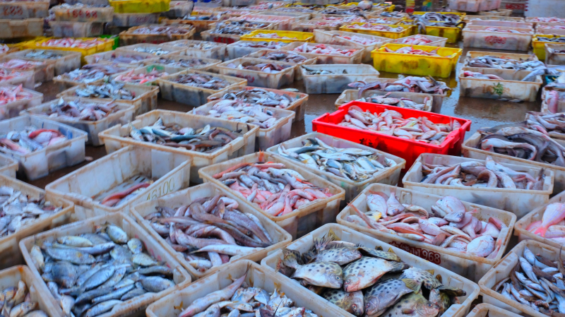 广东湛江旅游攻略美食,湛江旅游海鲜推荐一下