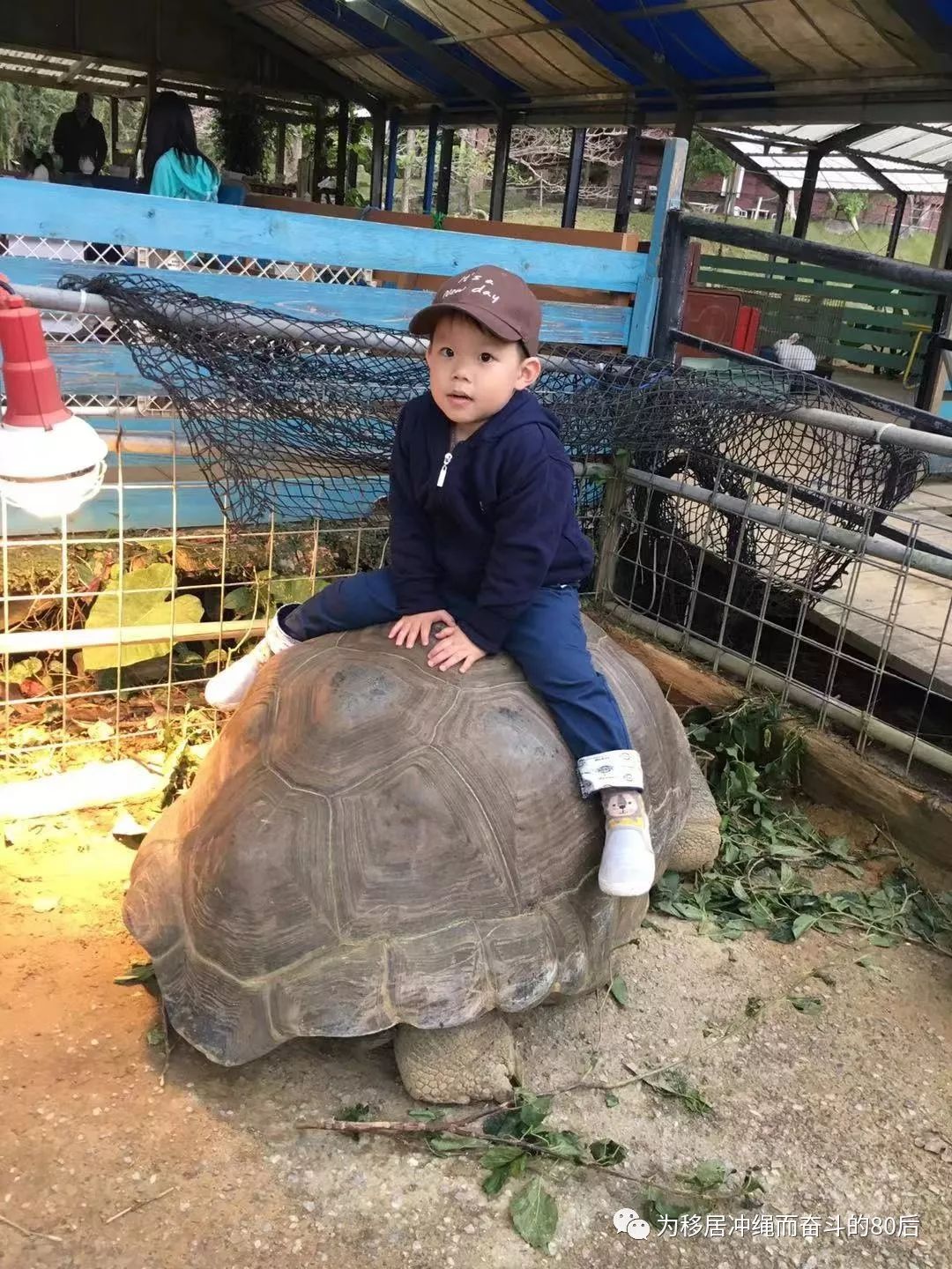 12月份冲绳攻略,想定居日本冲绳怎么样