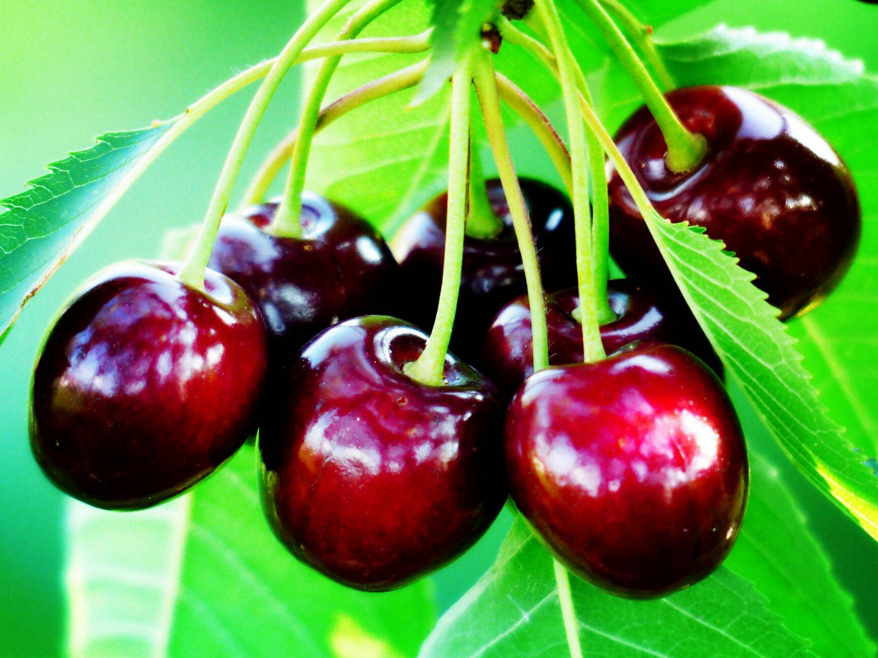 这座海滨小城的特点是什么,适合养老的海滨小镇