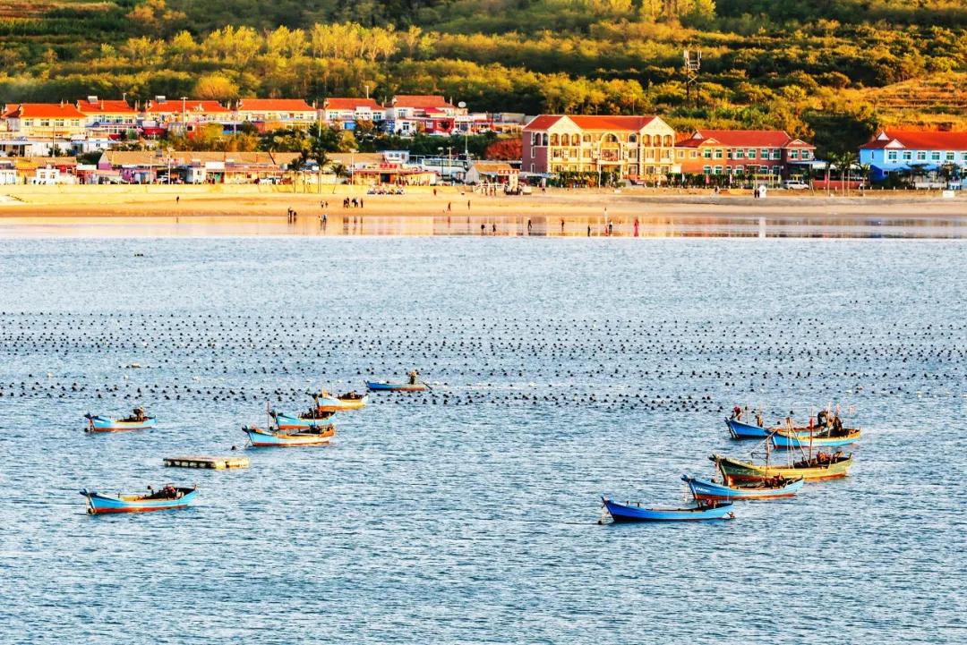 旅游三亚和厦门哪个更值得去,三亚和厦门哪个更值得去三亚旅游