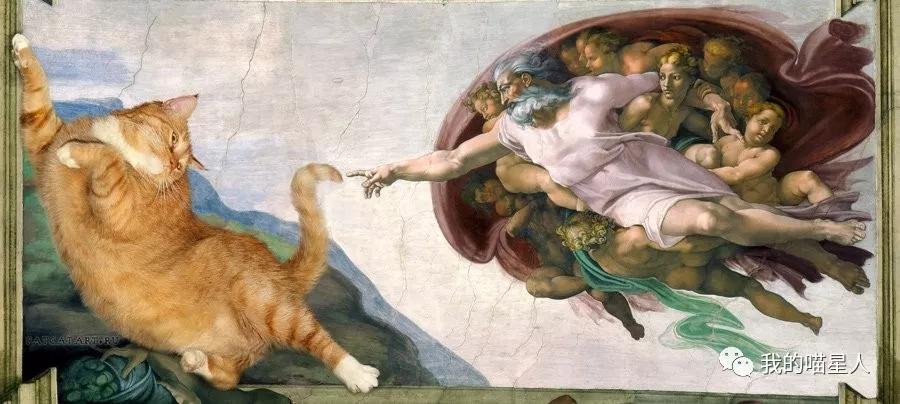 胖橘猫画作,一位画家把自己的猫画成卡通人物