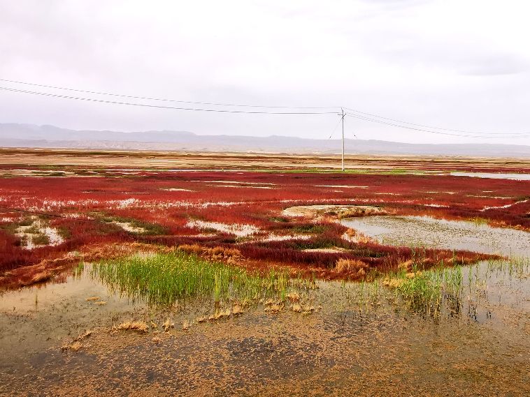 16天南北疆自驾游最佳路线图 (15天南北疆自驾游最佳攻略)