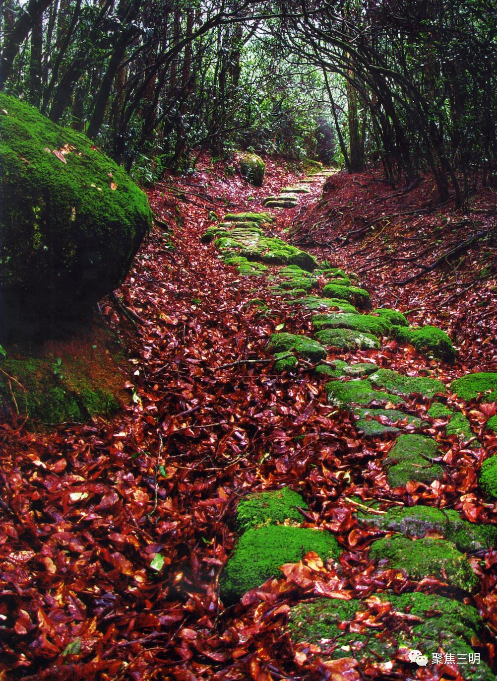 中国绿都最氧的三明将乐,中国绿都最氧三明康养之旅