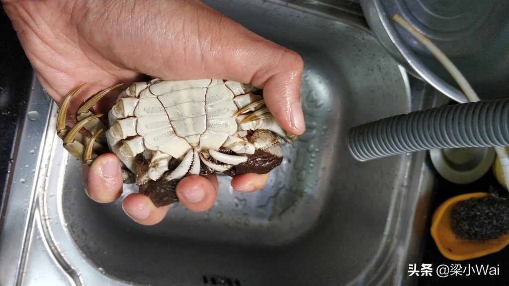 绑蟹的正确方法视频,被蟹钳刺出血怎么办