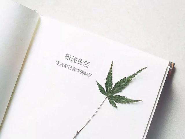 二手闲置物品平台有哪些,二手平台闲置物品哪个卖得最快