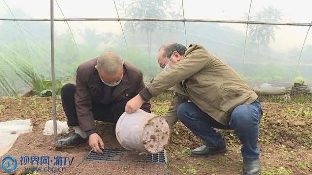 农资“一站式”到家!疫情下的春耕,他们还有哪些好办法?