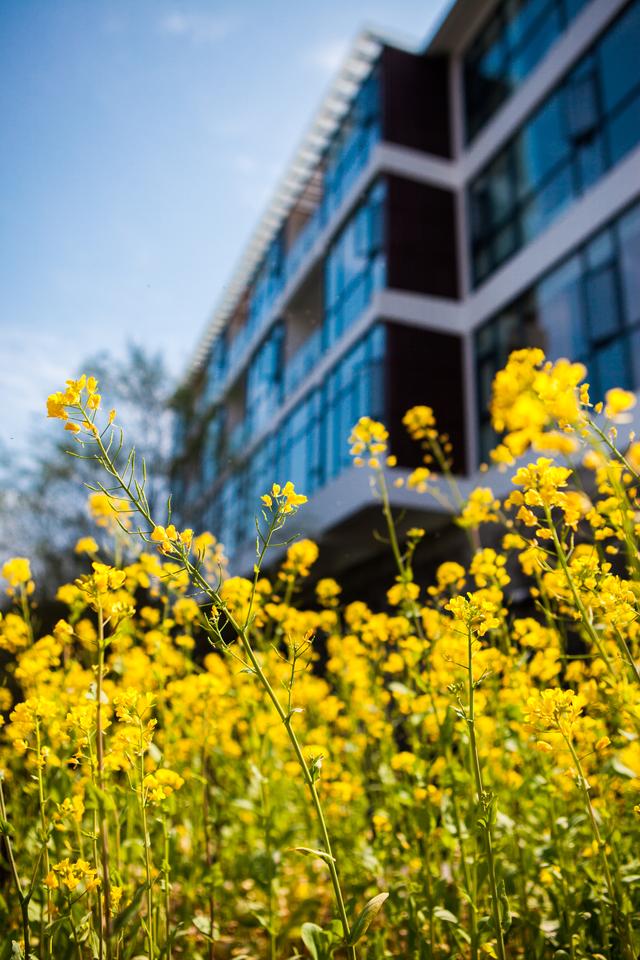 乡村追梦之路,乡村振兴与乡村旅游思考