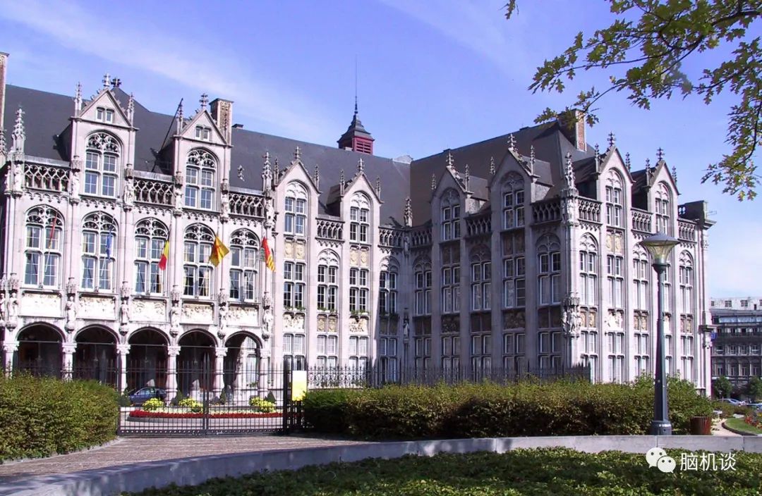 ​《脑机往事（3）—维达尔的秘密》