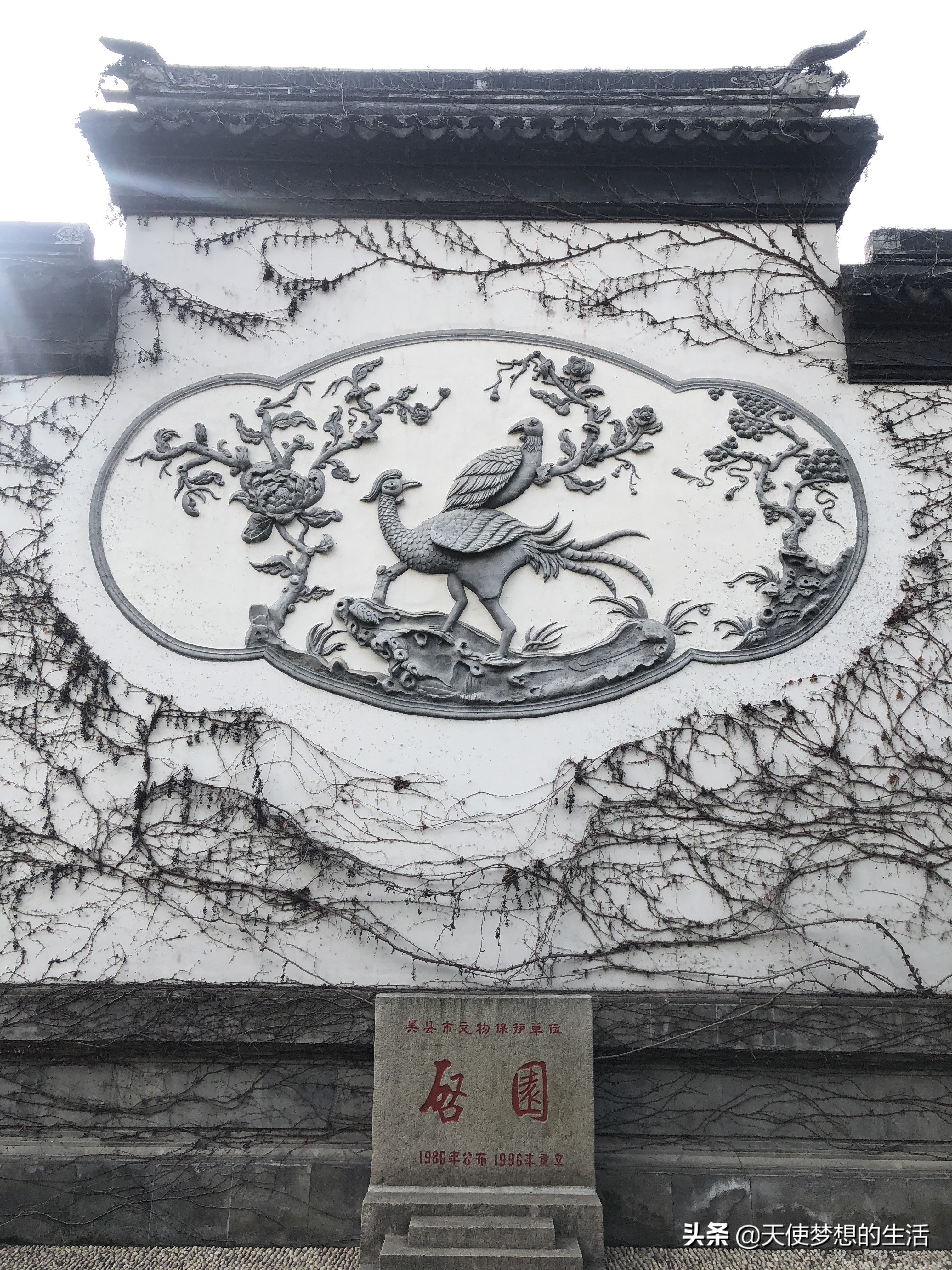 苏州太湖之畔,苏州东山环太湖大道