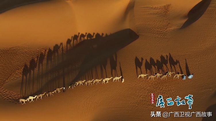 马来西亚籍女主持人,马来西亚著名女主播