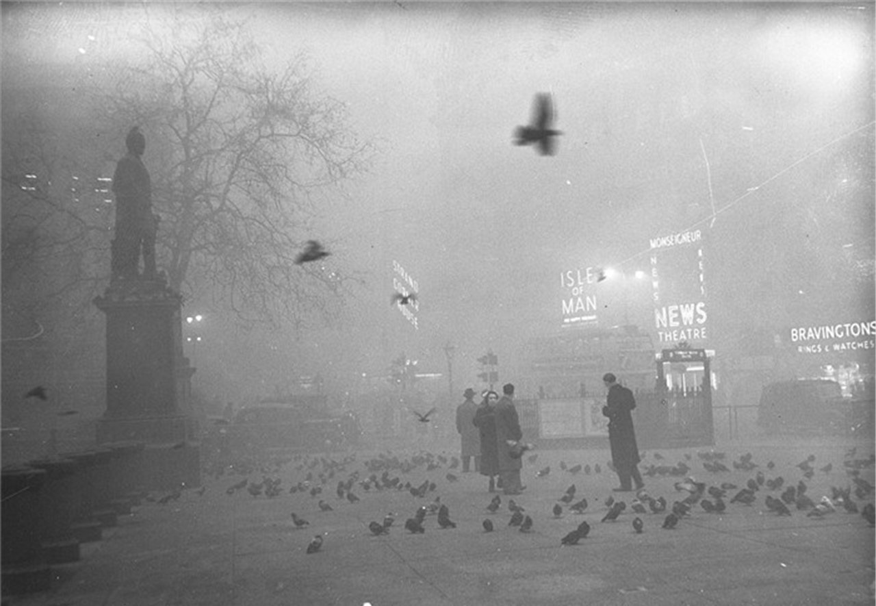 黄金时代英文合唱,黄金时代希腊灰