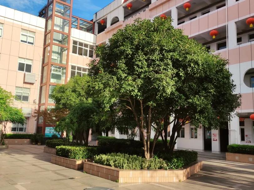 最美的风景美丽的校园,最美的风景就是校园