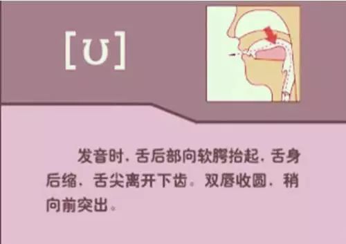 张中军音标发音48个教学视频合集,音标发音48个正确发音讲解视频