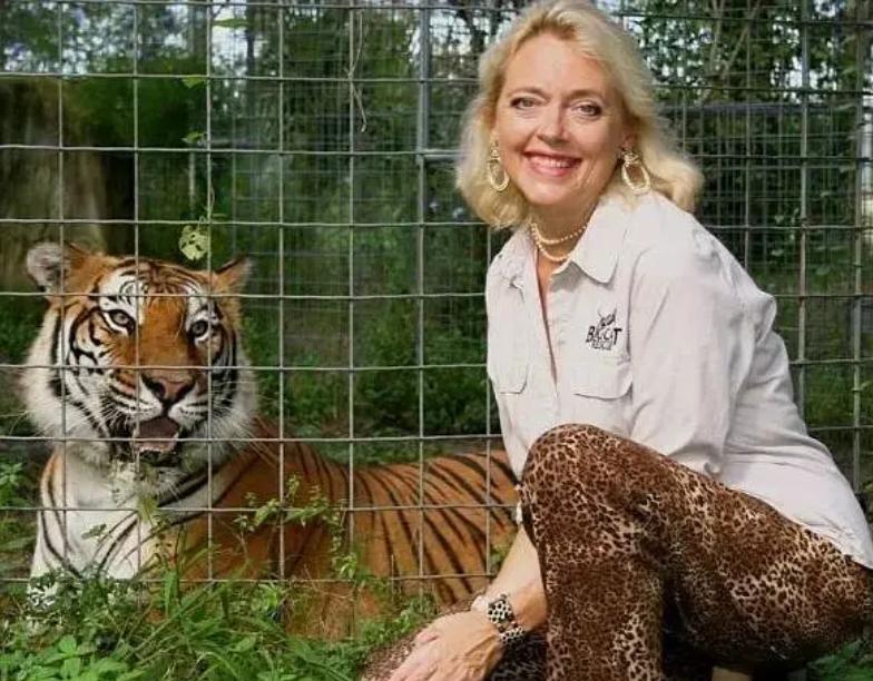 疫情中全美国都在安利这疯子电影