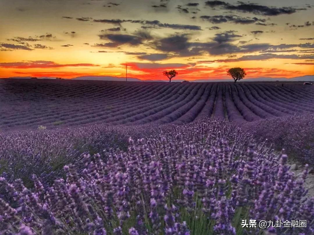 稻盛和夫应对危机的五大策略,稻盛和夫对经济萧条五大对策