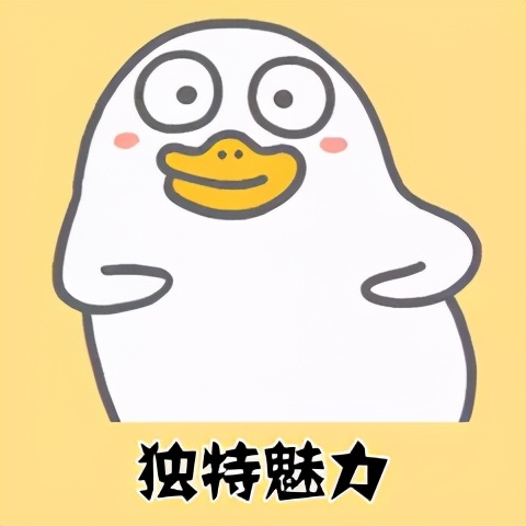 社交电商是什么和什么的汇合点 (社交电商怎么做)