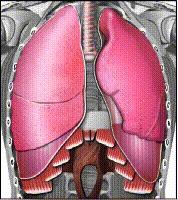 大笑时怎样笑才没有鱼尾纹,大笑的时候有鱼尾纹怎么办