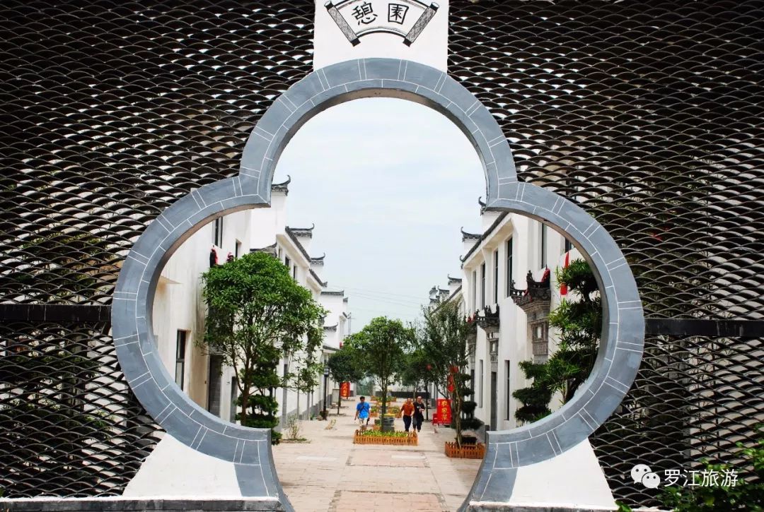 罗江赏梅花,罗江的礼物去哪买