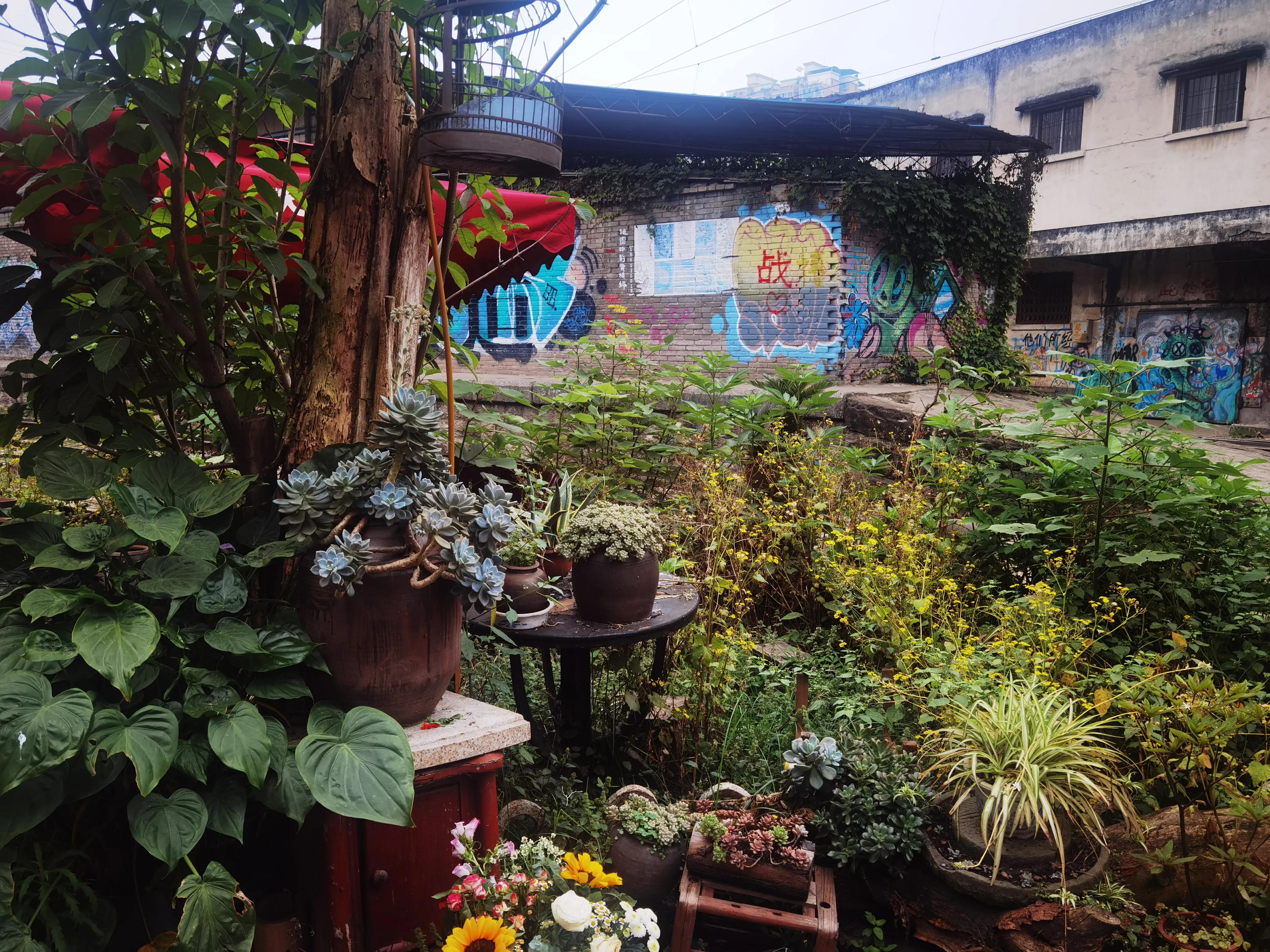 肖战热爱可抵岁月漫长采访,肖战为自己的热爱全力以赴