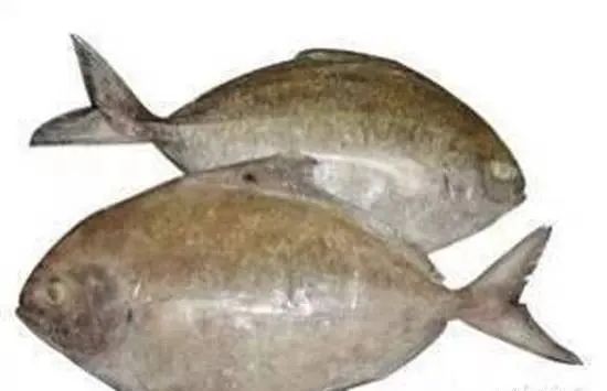 海鲜大全,最全海鲜冷知识