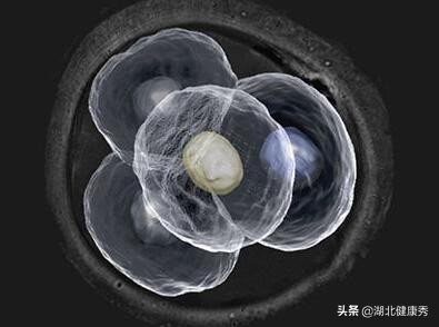 试管婴儿移植两次失败了什么原因,试管婴儿移植4aa囊胚失败